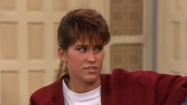 S09:E12 - Adventures in Baileysitting