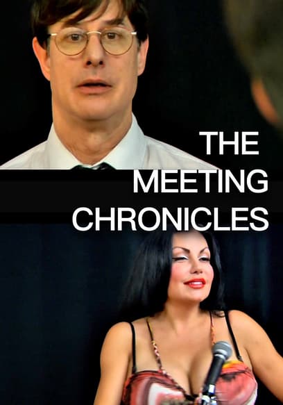 The Meeting Chronicles poster