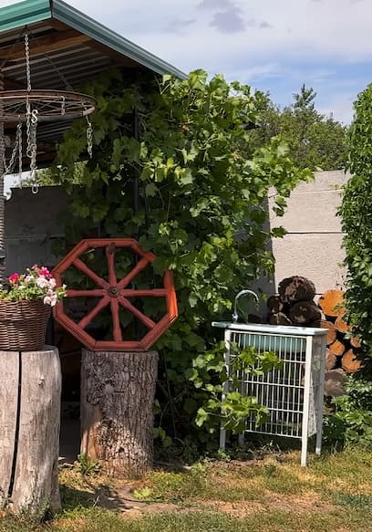S01:E01 - Rustic Shawarma: Garden to Table poster