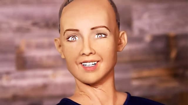 S11:E19 - Human Simulator