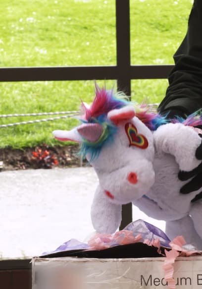 S01:E13 - Mules, Toys & Border Busts poster