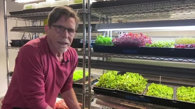 S01:E11 - Microgreens