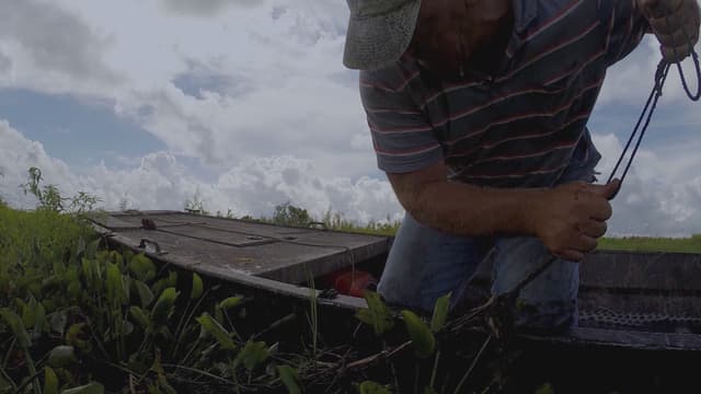 S06:E13 - Royal Reunion