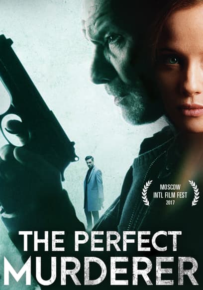 The Perfect Murderer (Subbed)