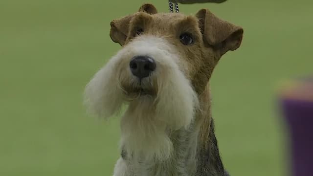 S2019:E03 - 2019: Day 2