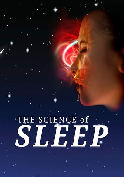 The Science of Sleep