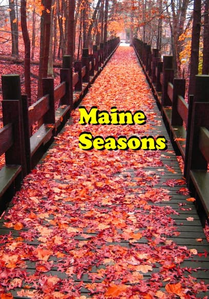 Maine Seasons