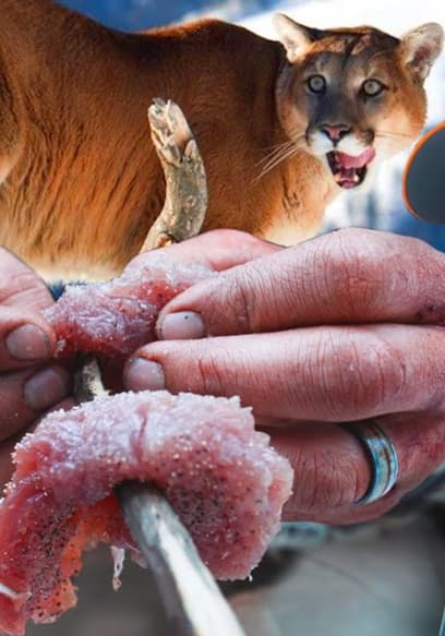 Affiche de S01:E02 - Hunting and Eating a Mountain Lion!