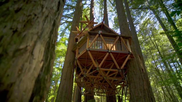 S06:E08 - Tiny Treehouse