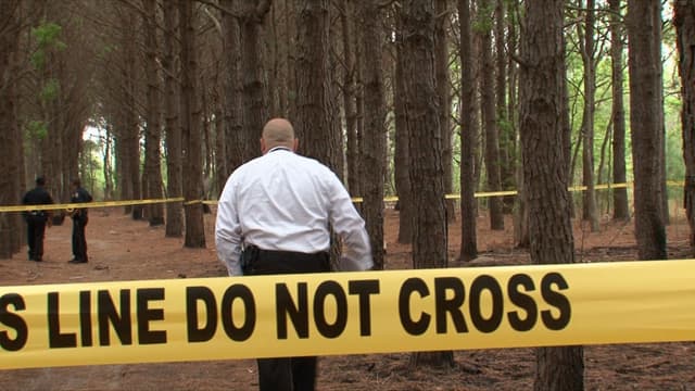 S11:E07 - Brother's Bread / Into the Woods