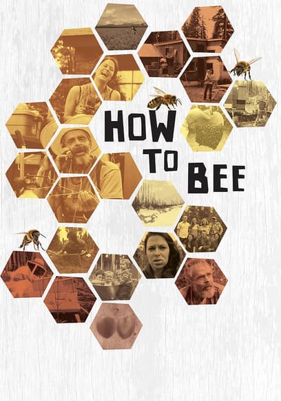 How to Bee