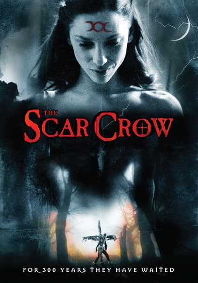 Scar Crow poster