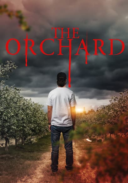 The Orchard