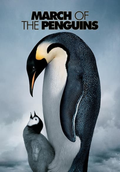 March of the Penguins