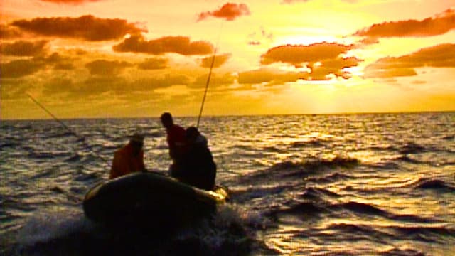 S01:E13 - World Records on the Fly: Revillagigedo Islands, Part 1