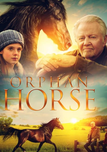 Orphan Horse