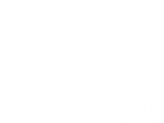 By Light of Desert Night