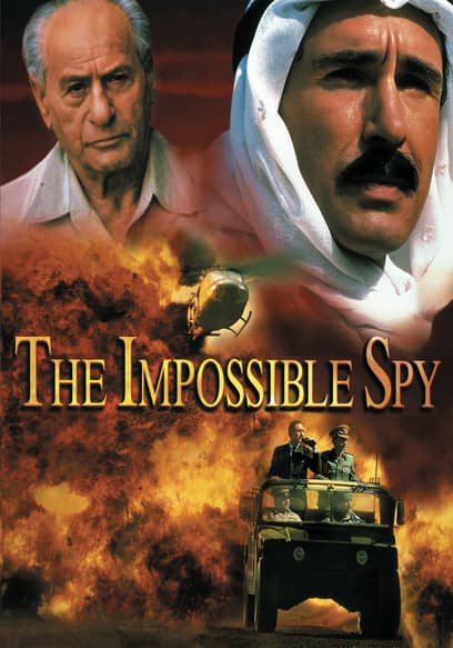 The Impossible Spy