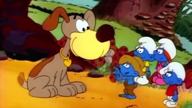 T06:C240 - S06:E240 - Educando a Cacharro