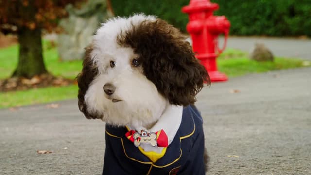 S01:E10 - Secrets Unleashed