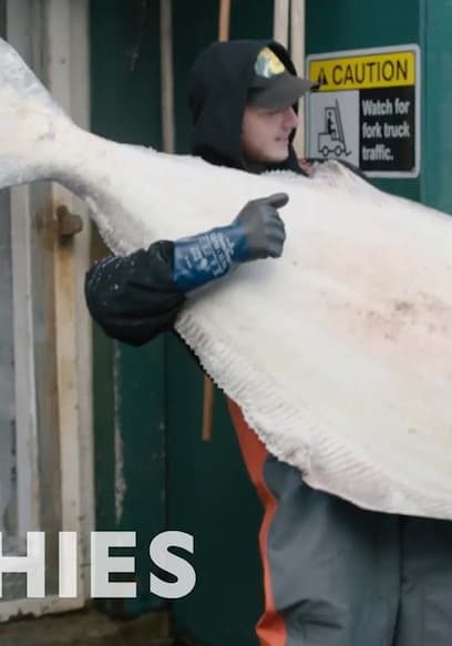 S01:E06 - Caviar Bumps, Oysters Shucking, and 100 Pound Halibut - MUNCHIES Guide to Victoria poster