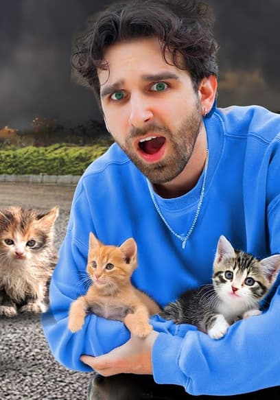 S01:E05 - Abandoned Kittens Found poster