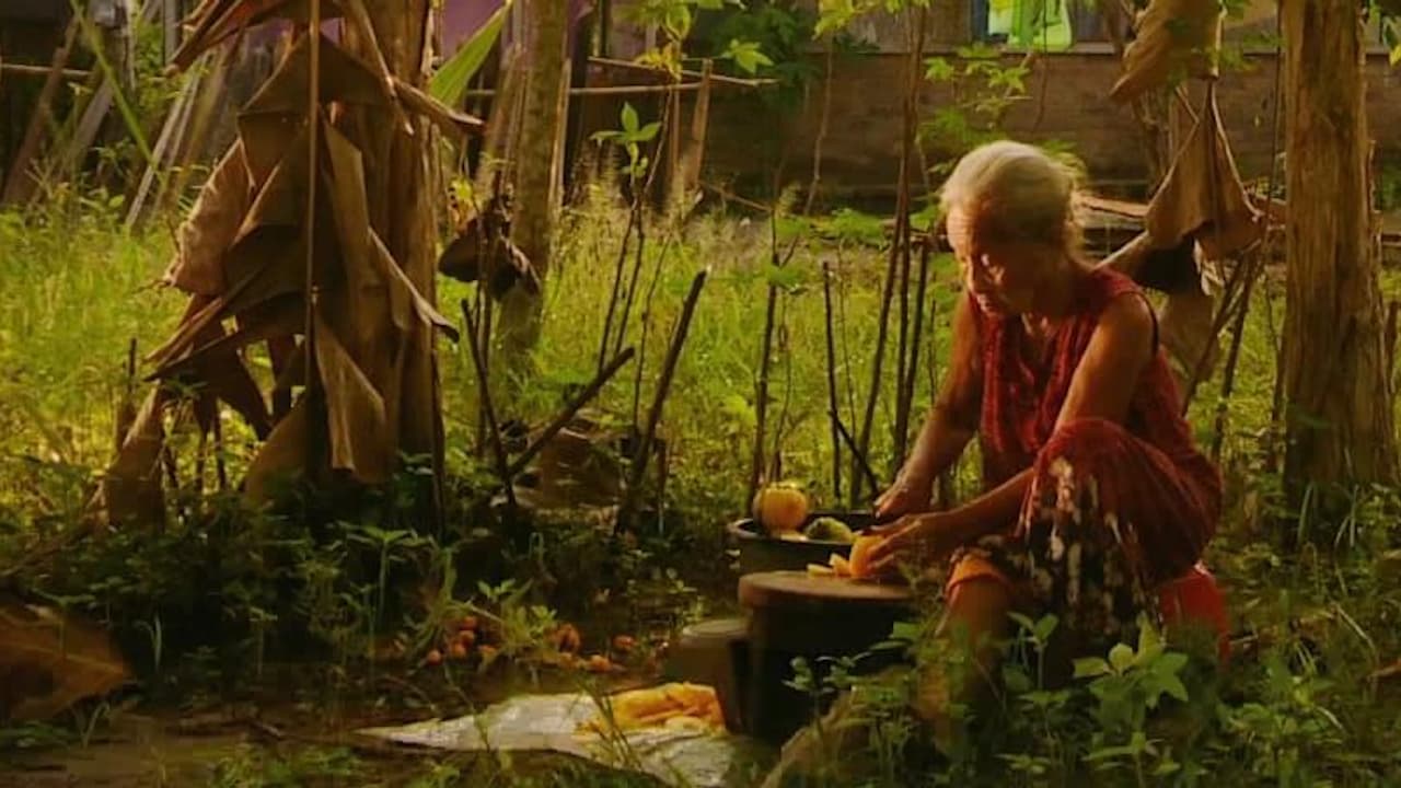 Watch The Look of Silence