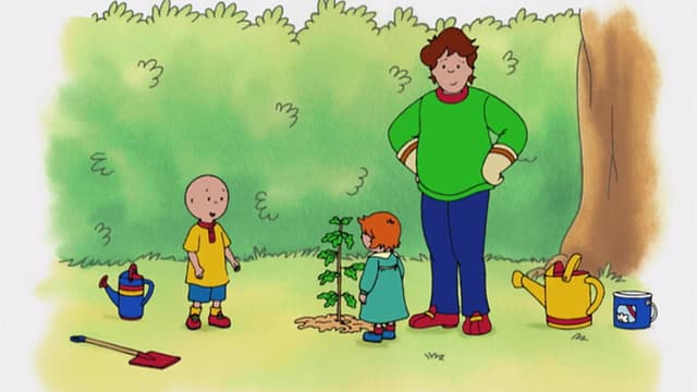 S03:E96 - Caillous Horn // the Mighty Oak // Get Well Mr. Hinkle // the Big Boat