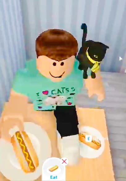 Póster de S01:E03 - Denis's Bloxburg Build-a-Thon!