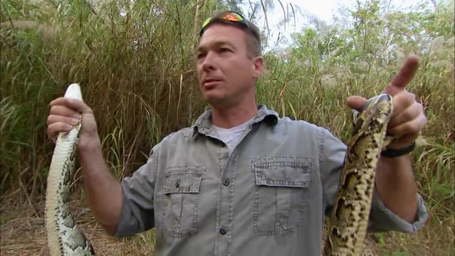 S01:E01 - The Perfect Storm