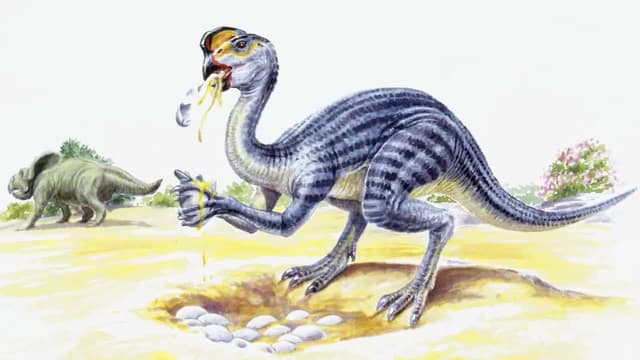 S04:E07 - The Oviraptor: The Falsely Accused 'Egg Snatcher'