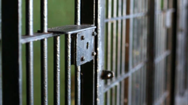 S02:E11 - Sex, Money, Murder, Inc: "Pistol Pete" Rollock