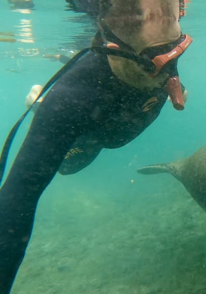 S01:E02 - Explore Devil's Den, Swim With Manatees in Florida poster