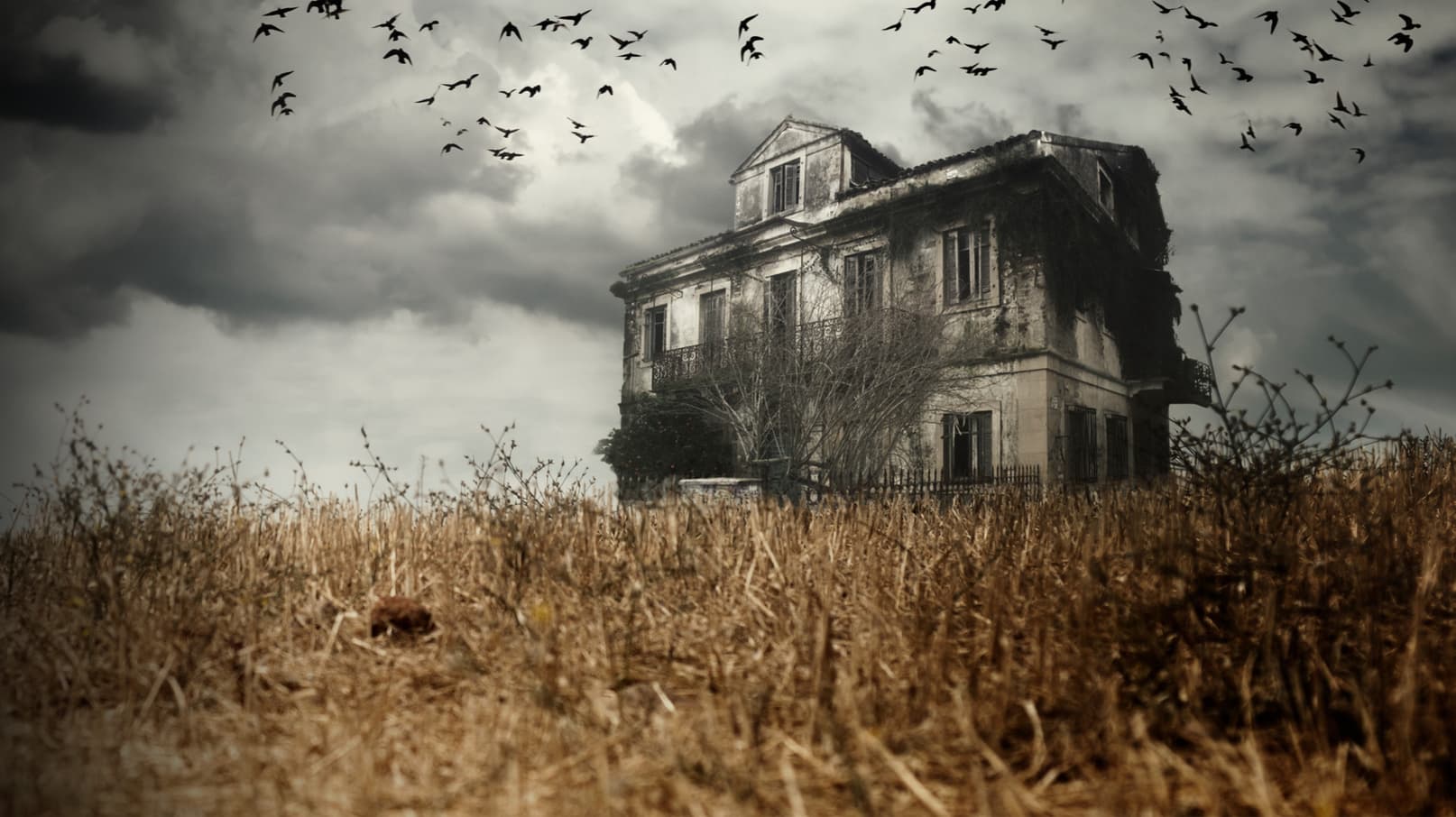 Watch Most Terrifying Places Streaming Online | Tubi Free TV