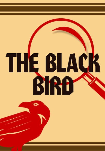 The Black Bird