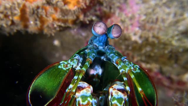 S01:E25 - My Friends From WATER