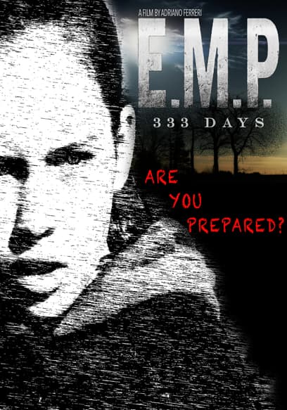 E.M.P. 333 Days