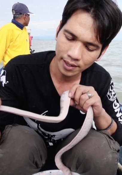 S01:E20 - Finding Poisonous Snakes of Songkhla Lake (Pt. 2) poster