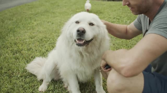 S01:E05 - After the Rain