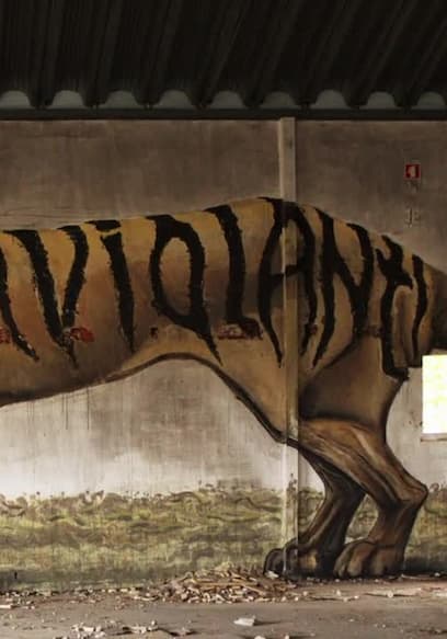 S01:E06 - The Tasmanian Tiger Down Under poster
