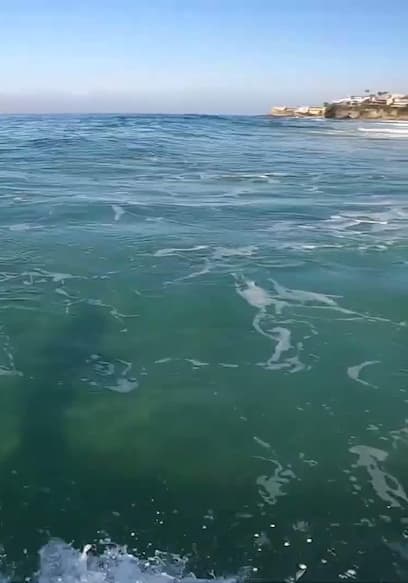 S03:E07 - POV Skimboarding a Perfect Wedge With Blair Conklin poster