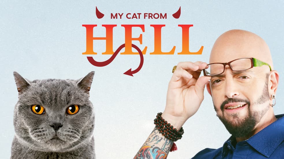 Pet Shows: Watch Free Online | Tubi
