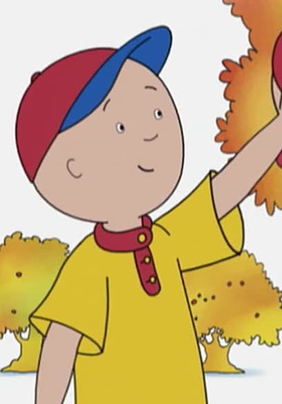 S04:E14 - Caillou Goes Shopping // Caillou Goes Apple Picking // Caillou's Halloween Costume poster