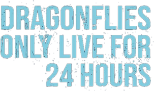 Dragonflies Only Live for 24 Hours