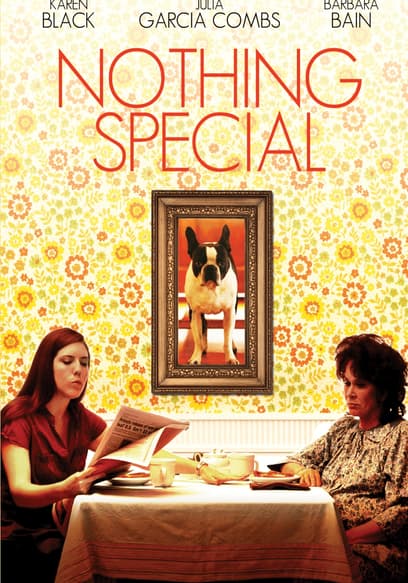 Nothing Special poster