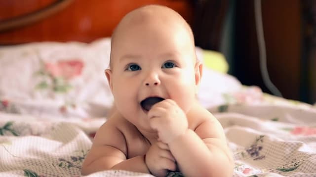 S01:E02 - The Coming Robot Apocalypse