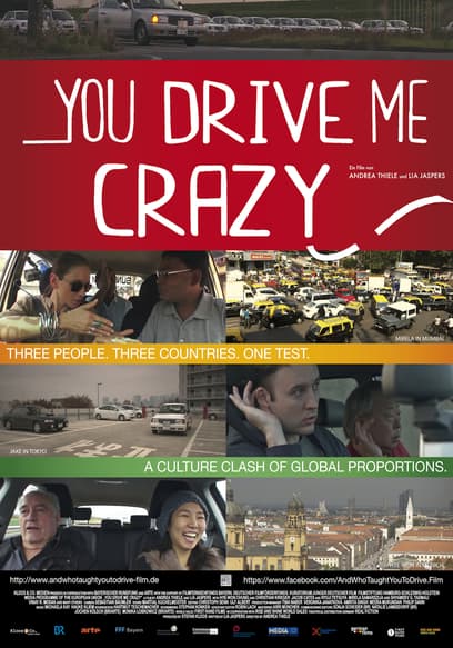 You Drive Me Crazy poster
