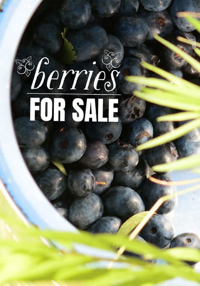 S01:E01 - Picking Berries