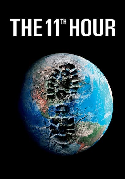 The 11th Hour