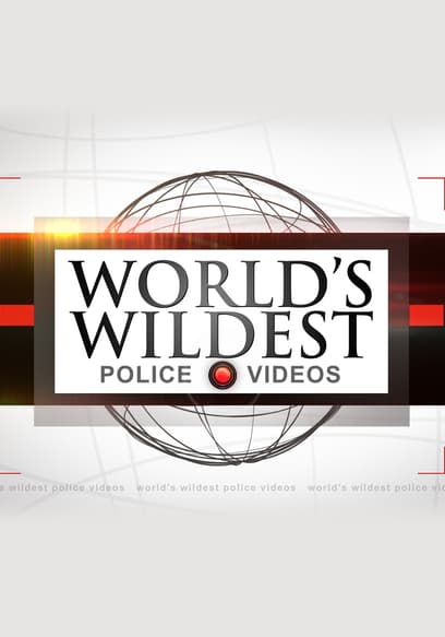 World's Wildest Police Videos poster
